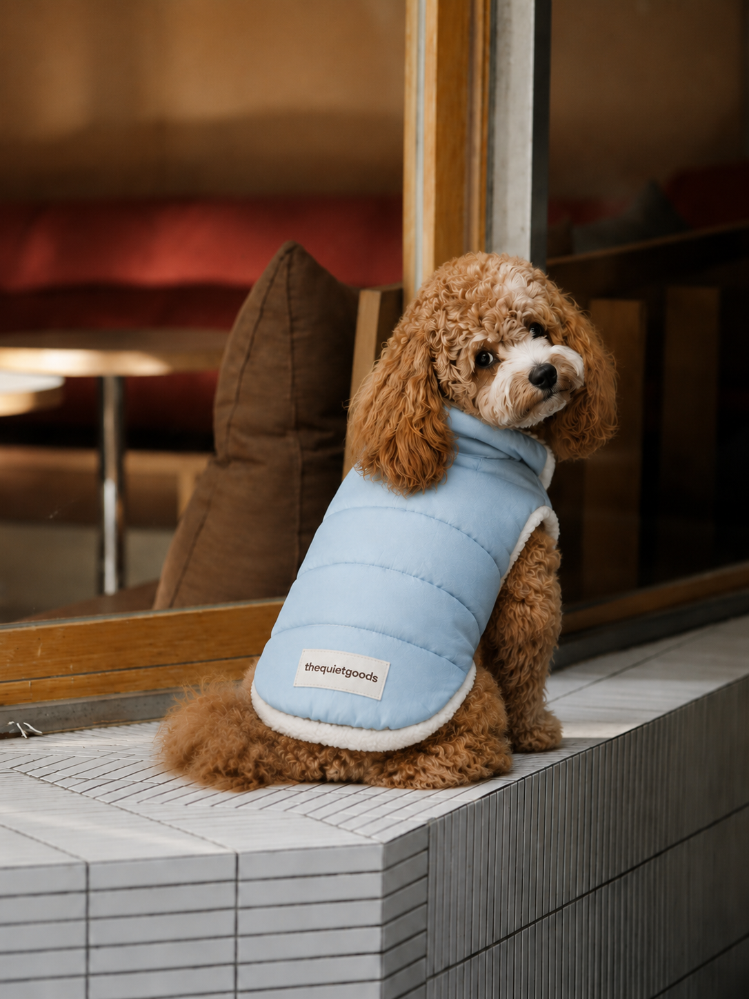 Waterproof Teddy Puffer Coat for Dogs
