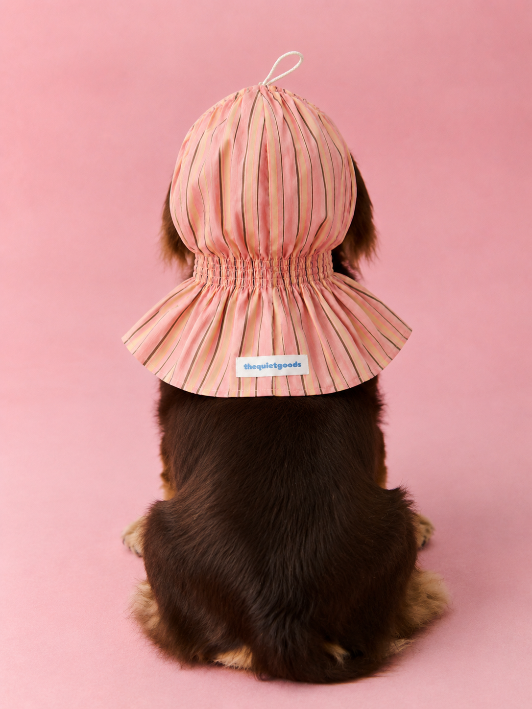 Ruffle Stripe Outdoor Cover Hood for Dogs