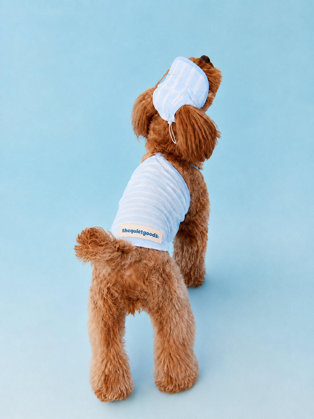 Stripe Trim Cooling Sun Hat for Dogs
