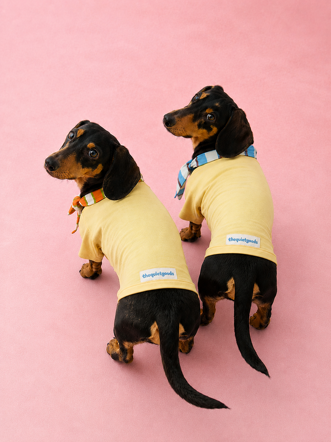 Detachable Hood Lace-Up Sweatshirt for Dogs