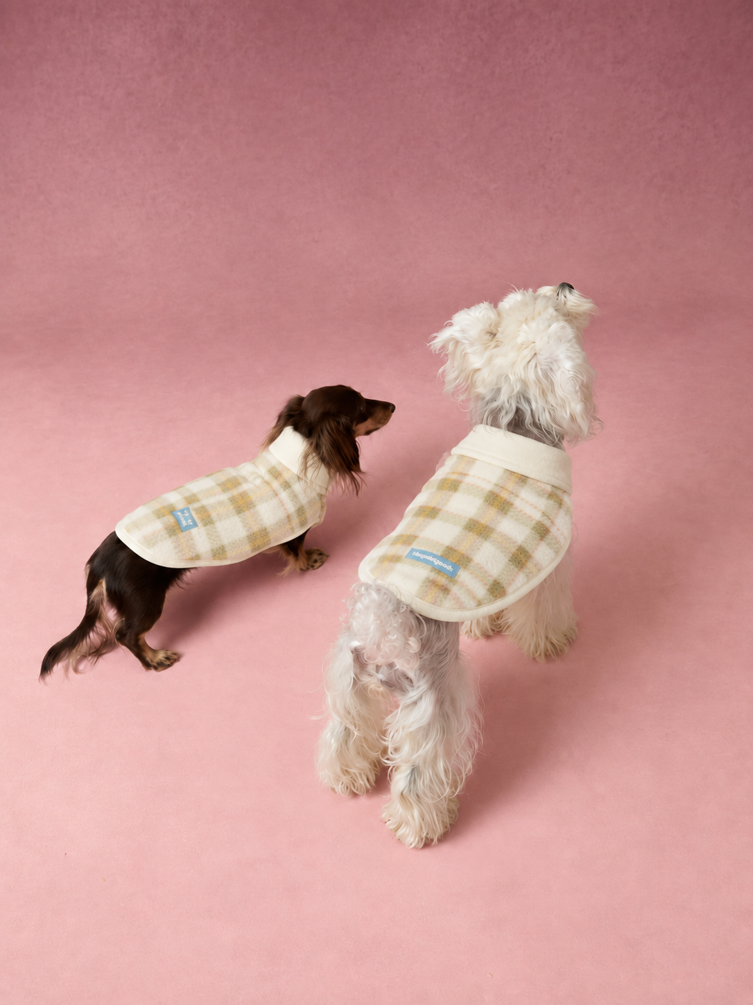 Plaid Plush Winter Cape for Dogs