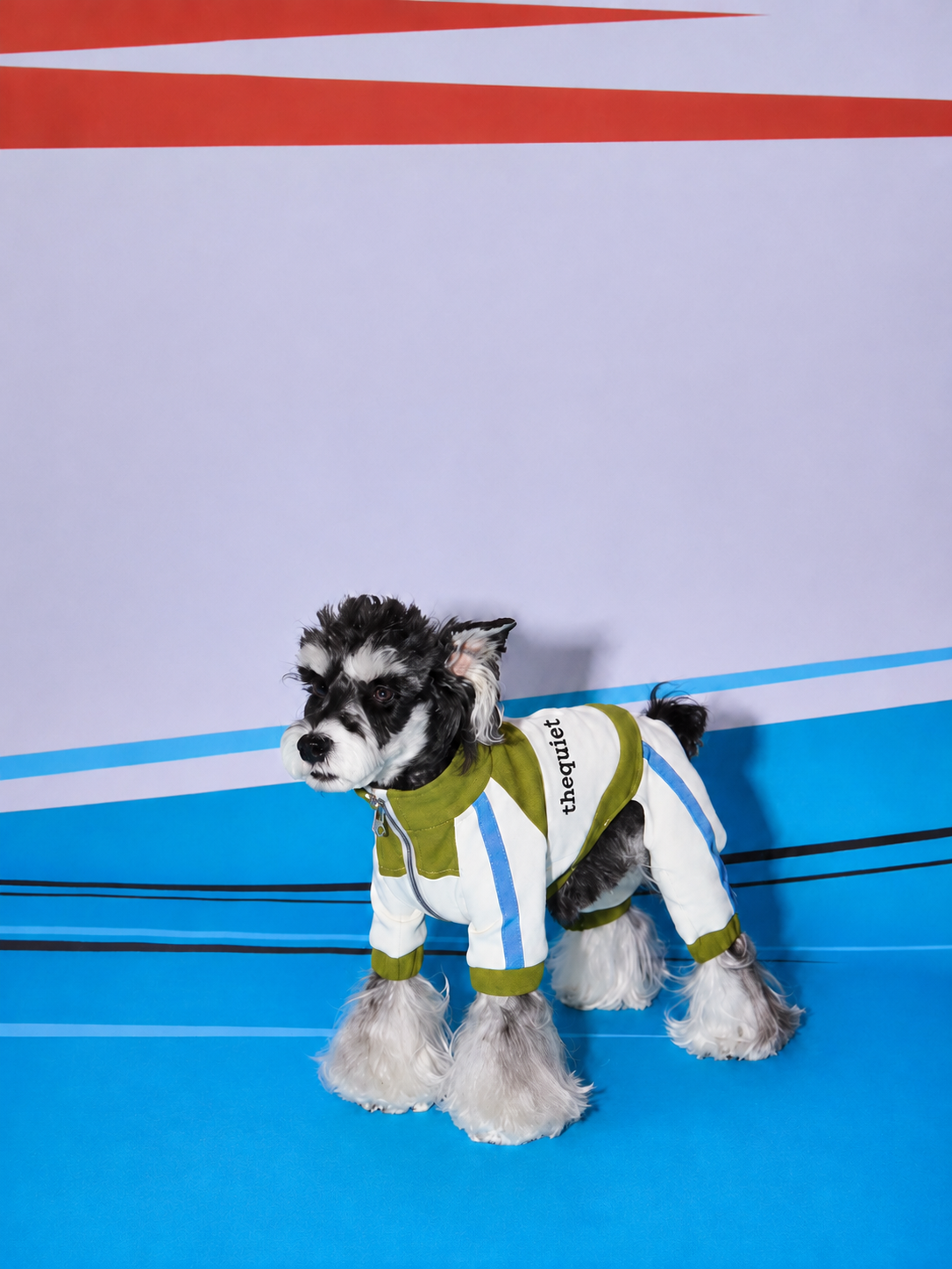Sporty Moto Style Four-Leg Jumpsuit for Dogs