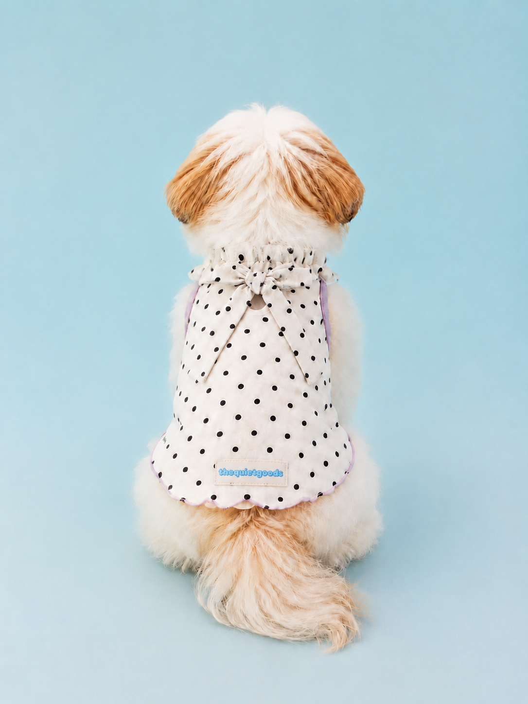 Tied Polka Dot Summer Vest for Small Dogs
