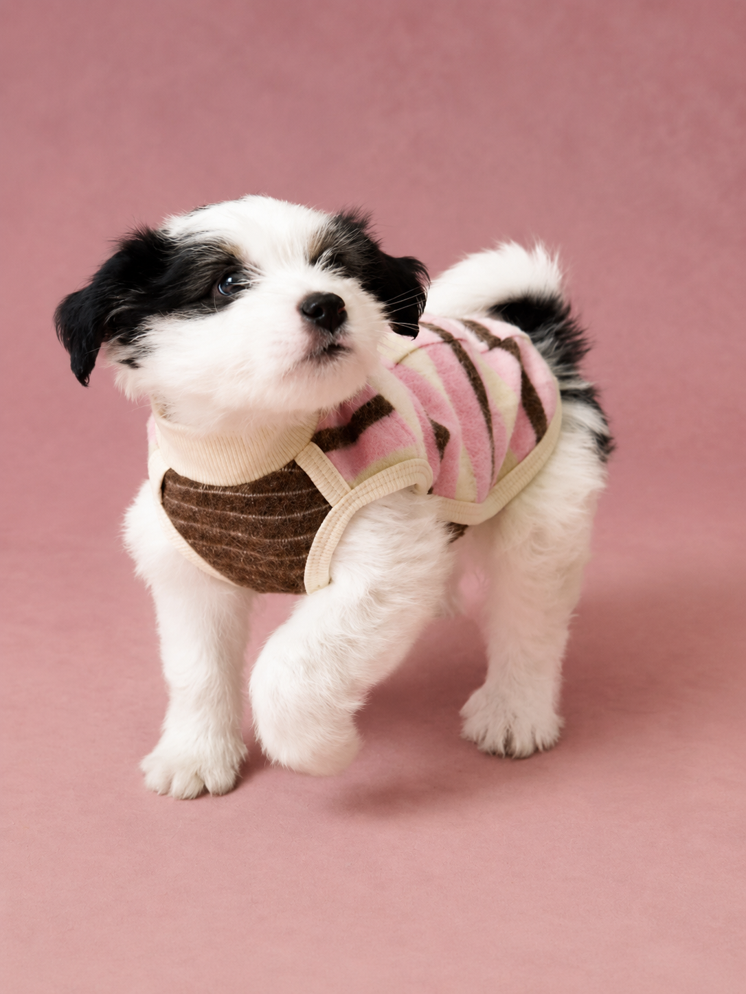 Soft Bunny Fur Stripe Vest for Dogs