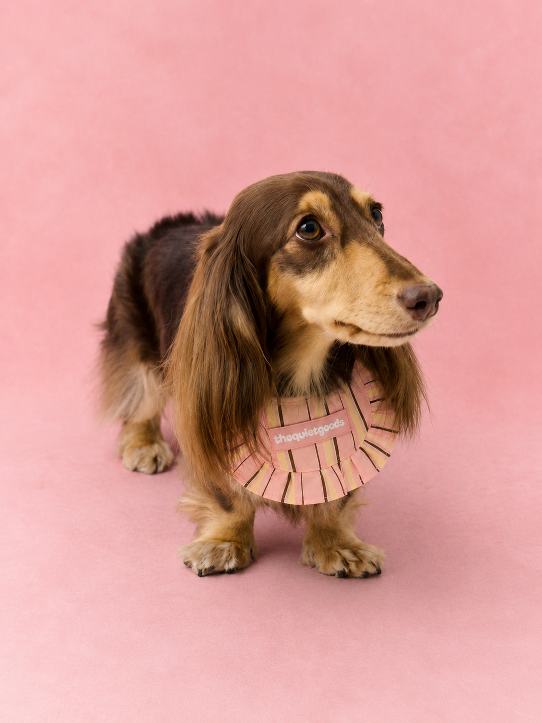 Classic Stripe Triangle Bib Scarf for Pets