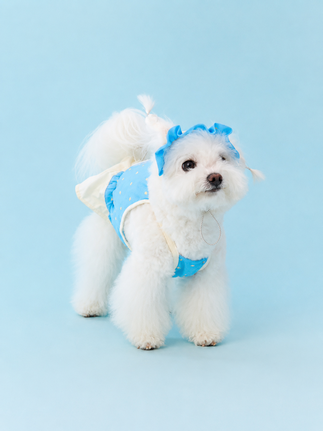 Polka Dot Breeze Dress Set for Small Dogs