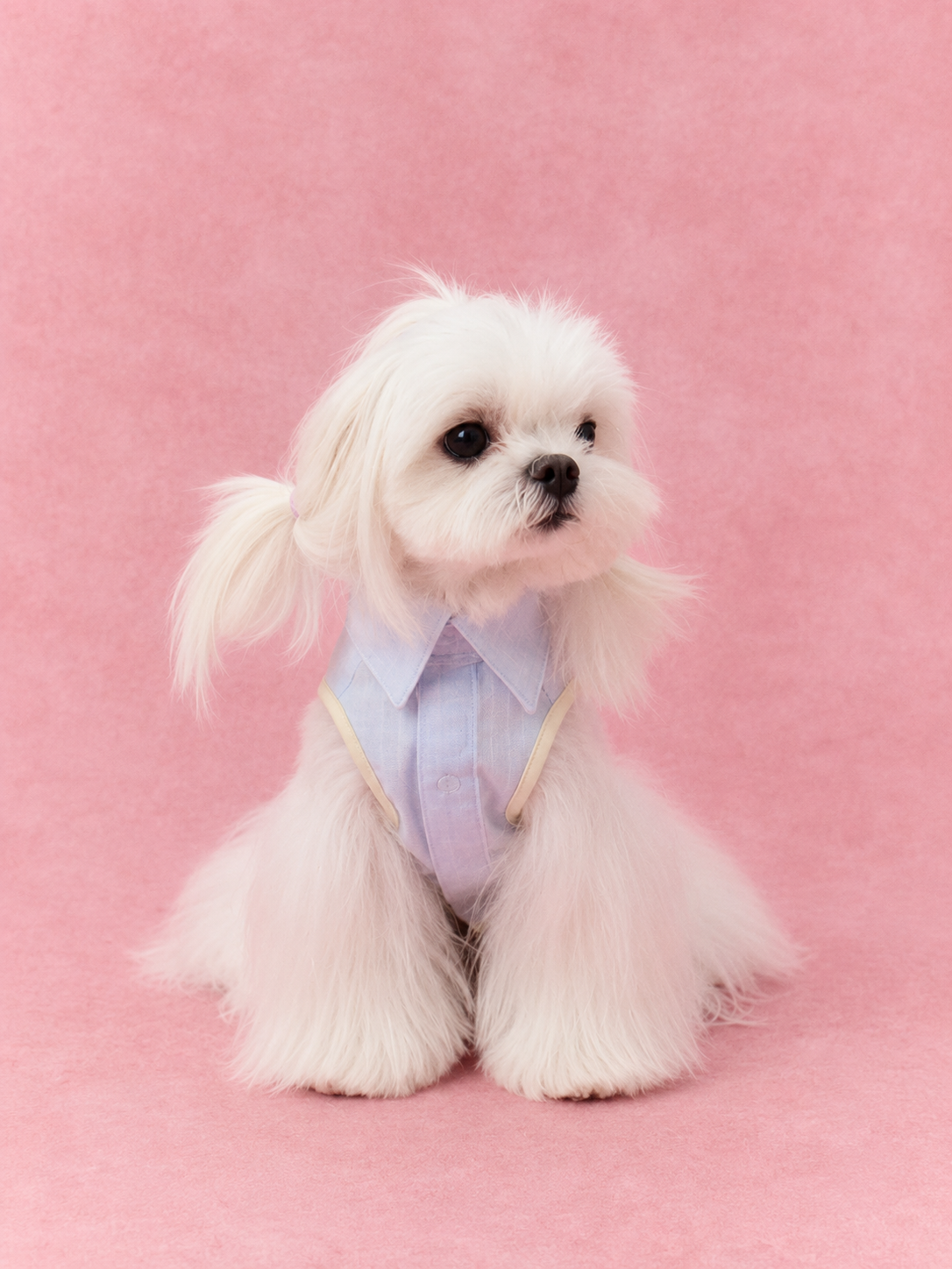 Lightweight Linen Style Shirt for Dogs