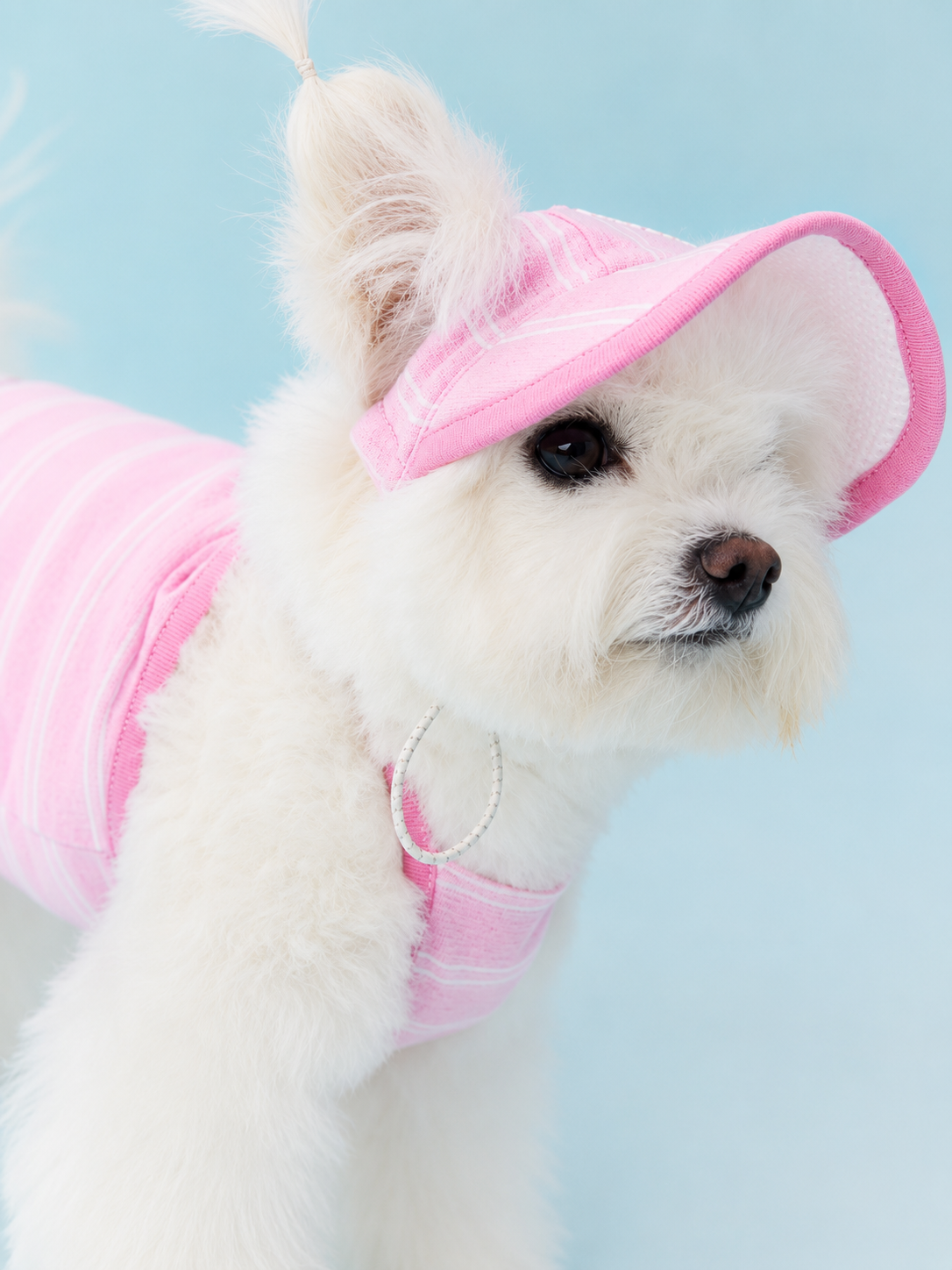 Stripe Trim Cooling Sun Hat for Dogs