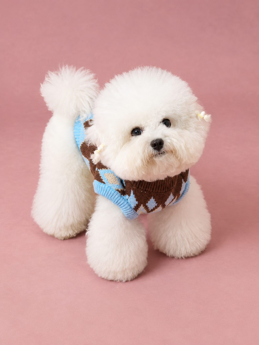 Fair Isle Cozy Knit Sweater for Dogs