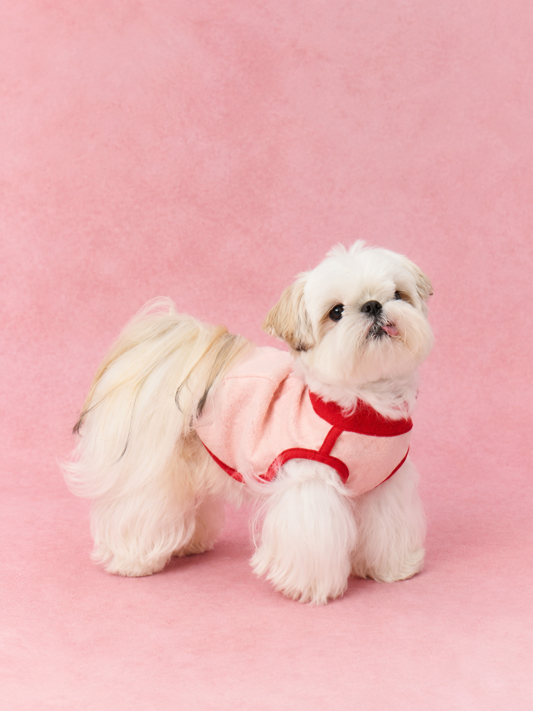 Contrast Edge Cotton Base Vest for Dogs
