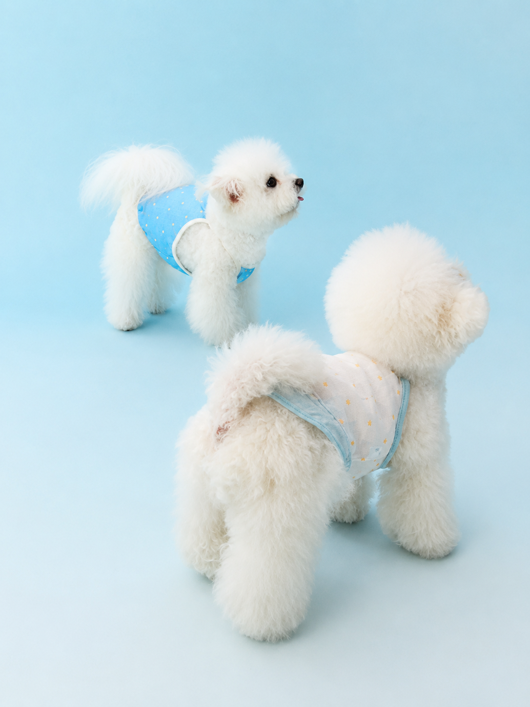 Polka Dot Breeze Dress Set for Small Dogs