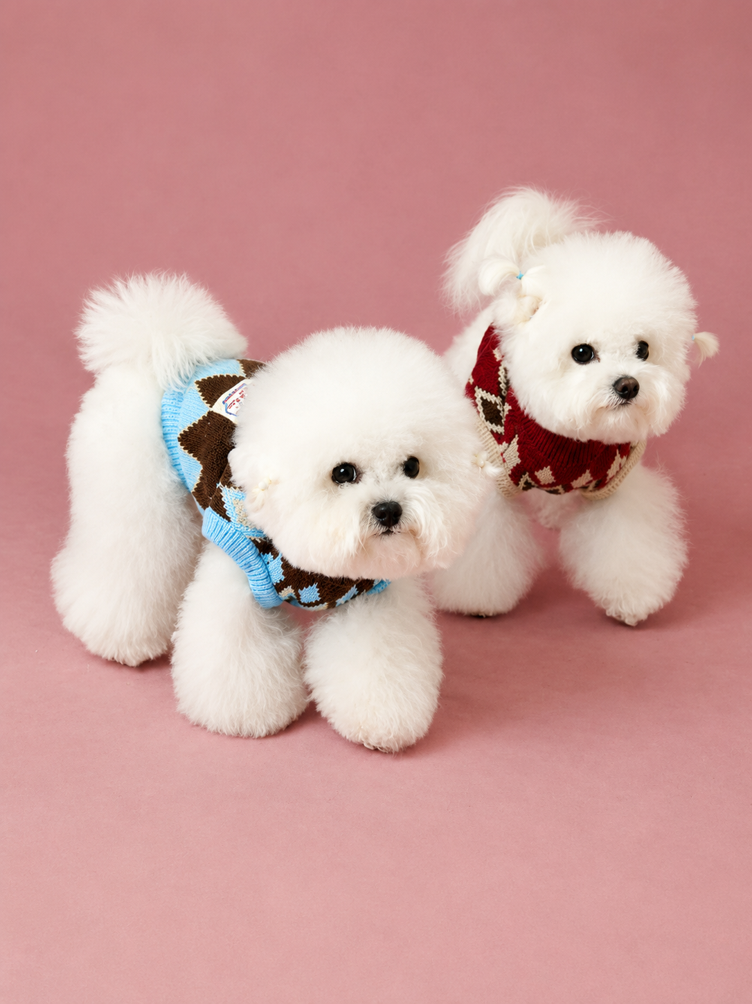 Fair Isle Cozy Knit Sweater for Dogs
