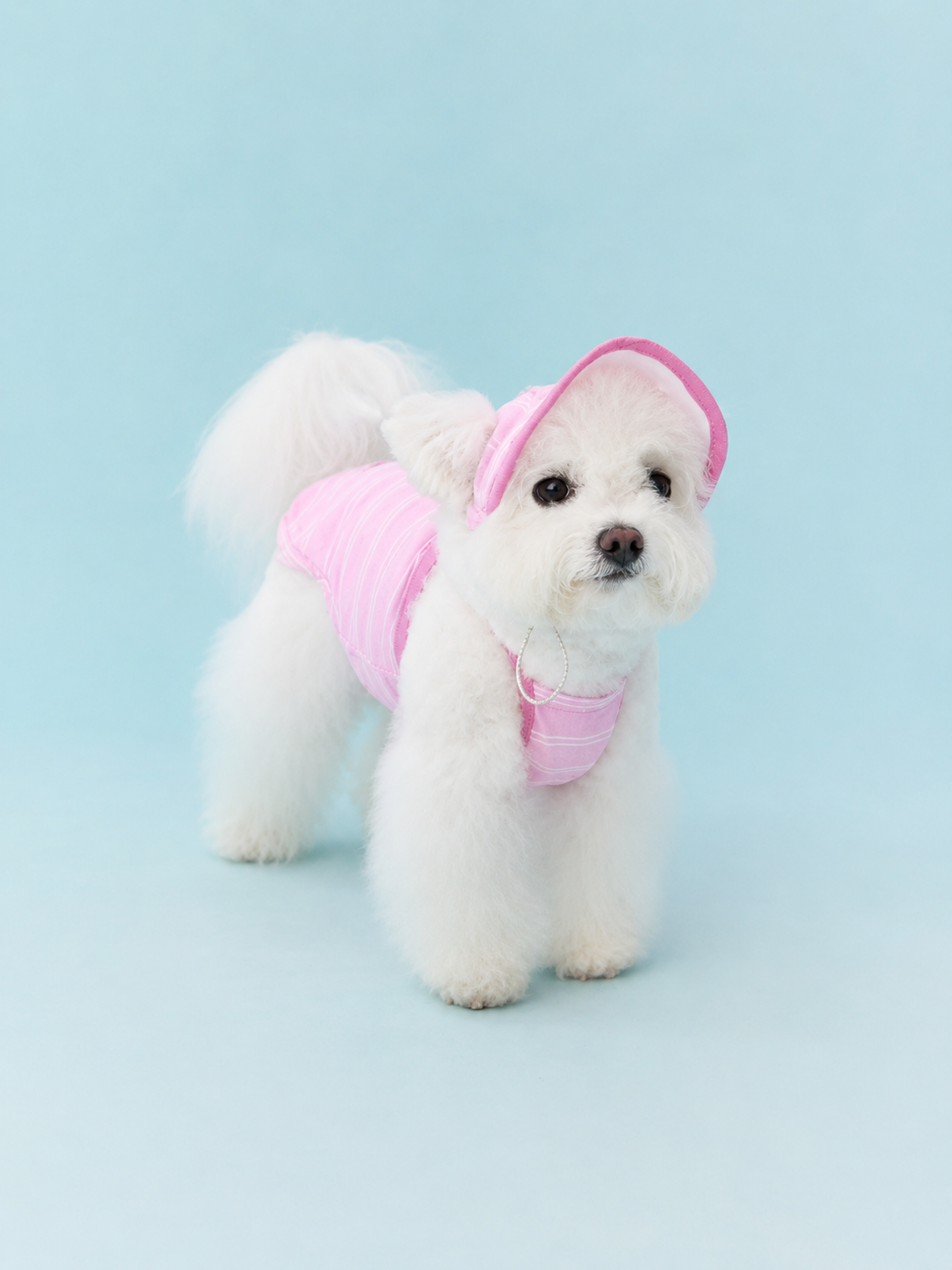 Stripe Trim Cooling Sun Hat for Dogs