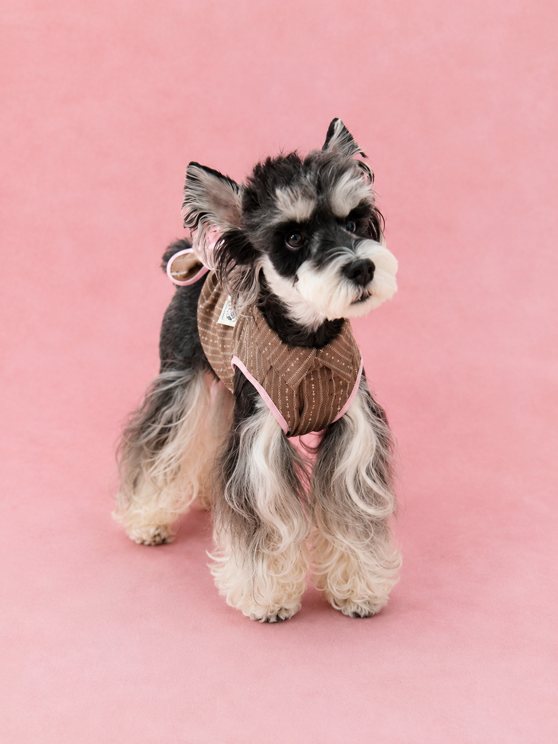 Lightweight Linen Style Shirt for Dogs
