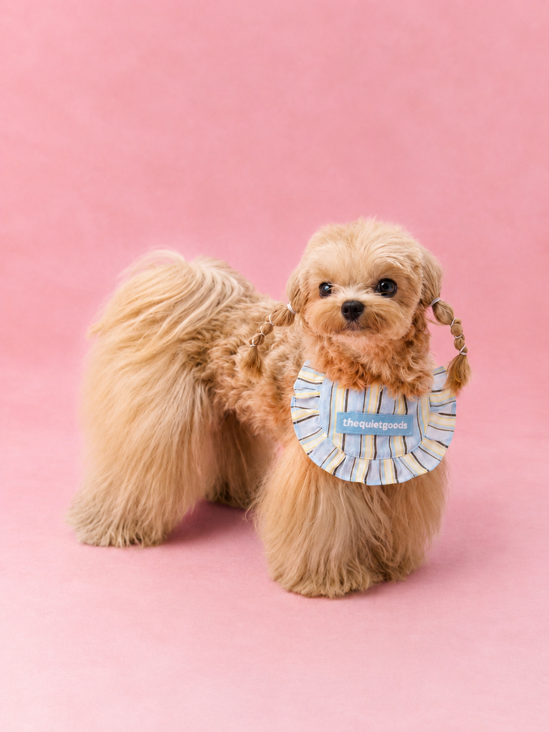Classic Stripe Triangle Bib Scarf for Pets