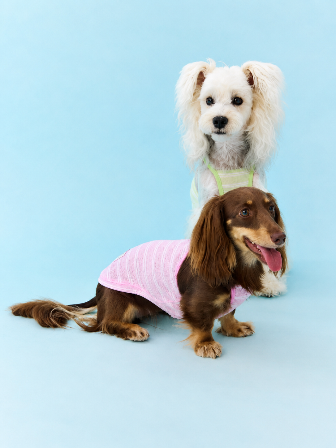 Crossback Stripe Cooling Vest for Dogs