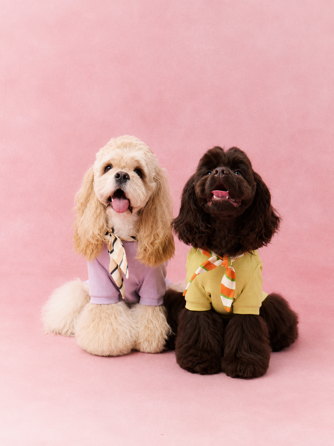 Detachable Hood Lace-Up Sweatshirt for Dogs