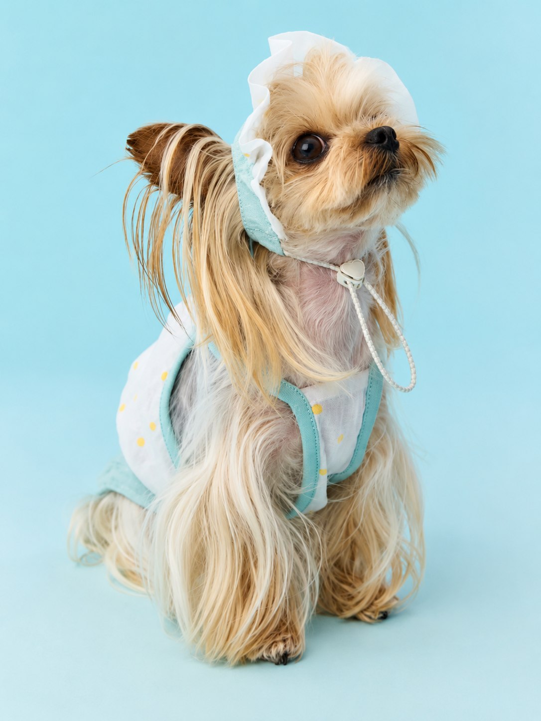 Polka Dot Breeze Dress Set for Small Dogs