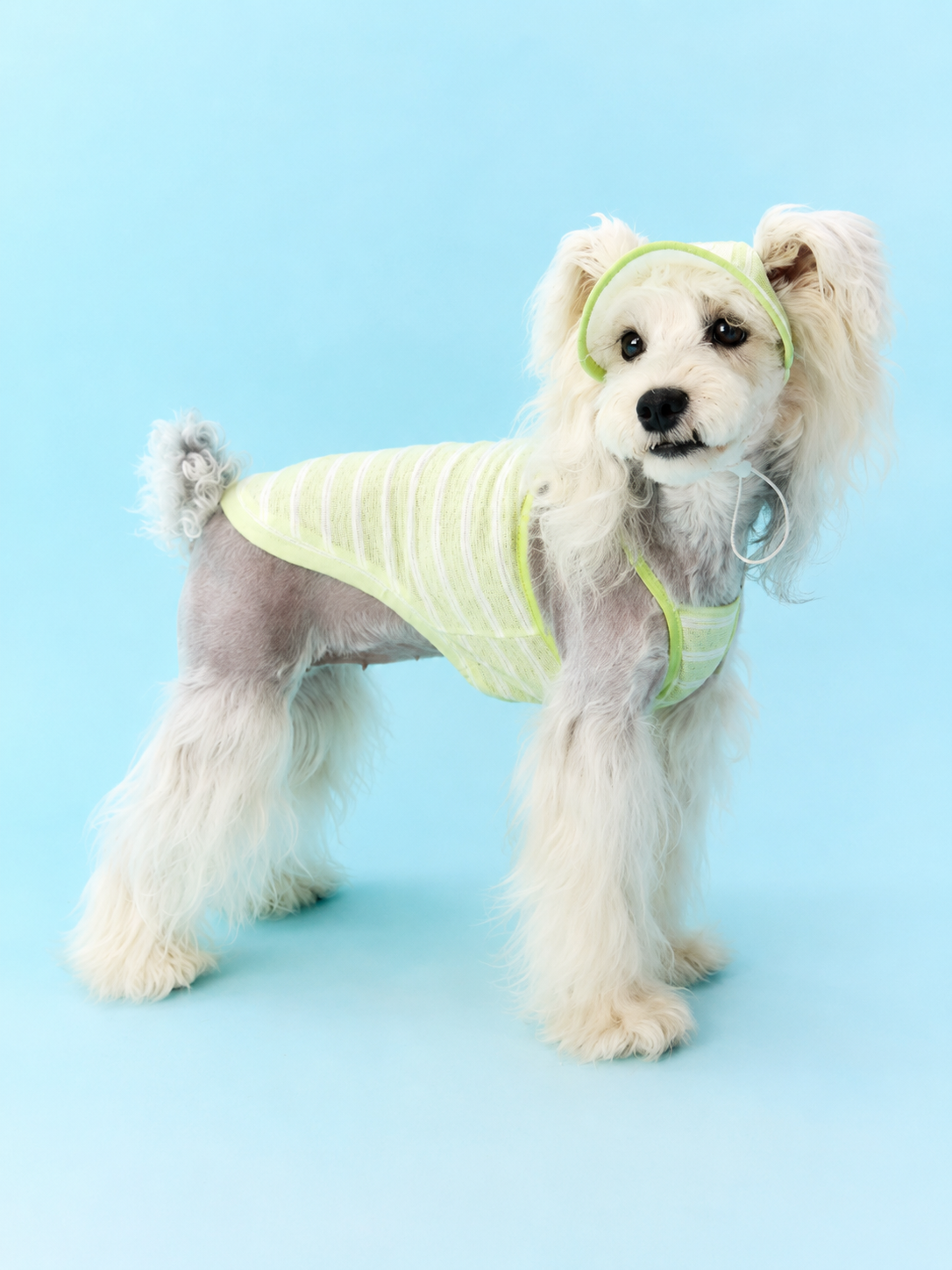Crossback Stripe Cooling Vest for Dogs