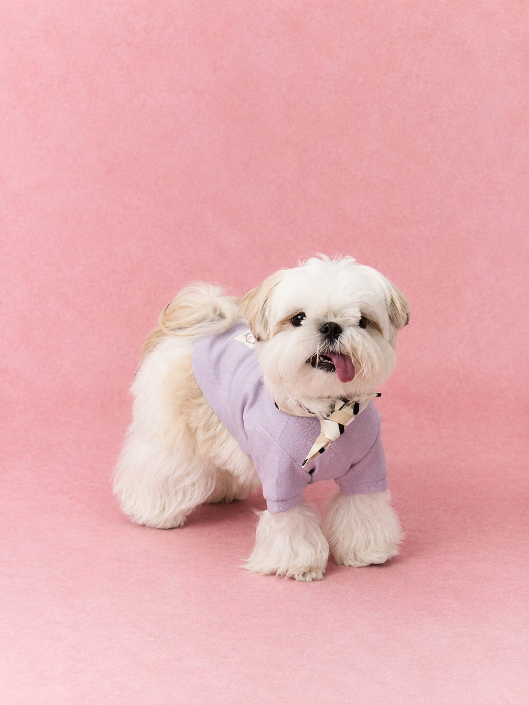 Detachable Hood Lace-Up Sweatshirt for Dogs