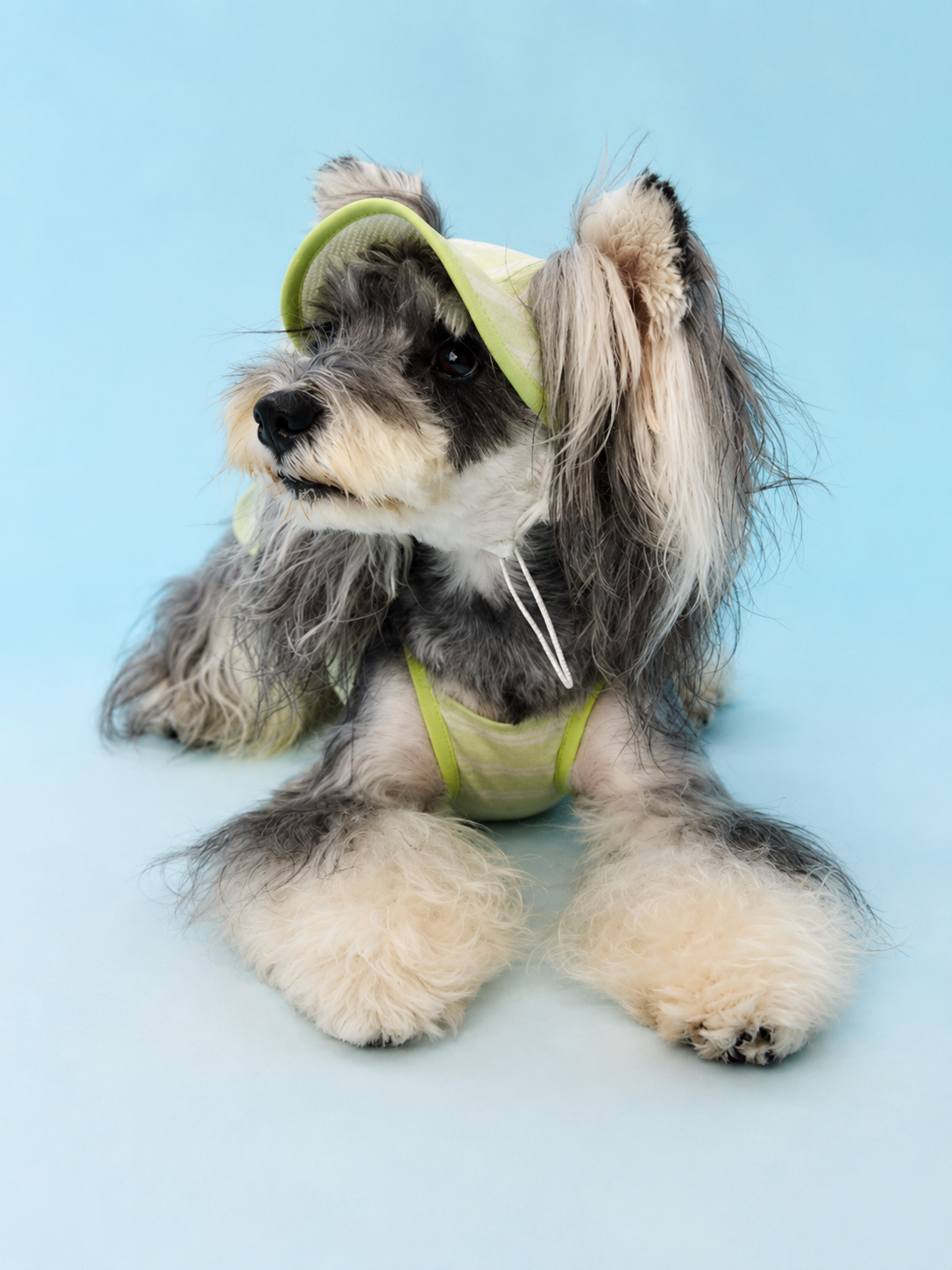 Stripe Trim Cooling Sun Hat for Dogs