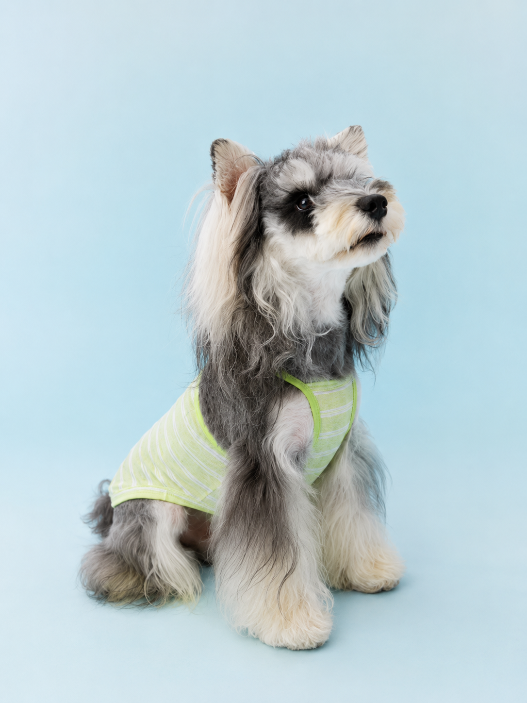 Crossback Stripe Cooling Vest for Dogs