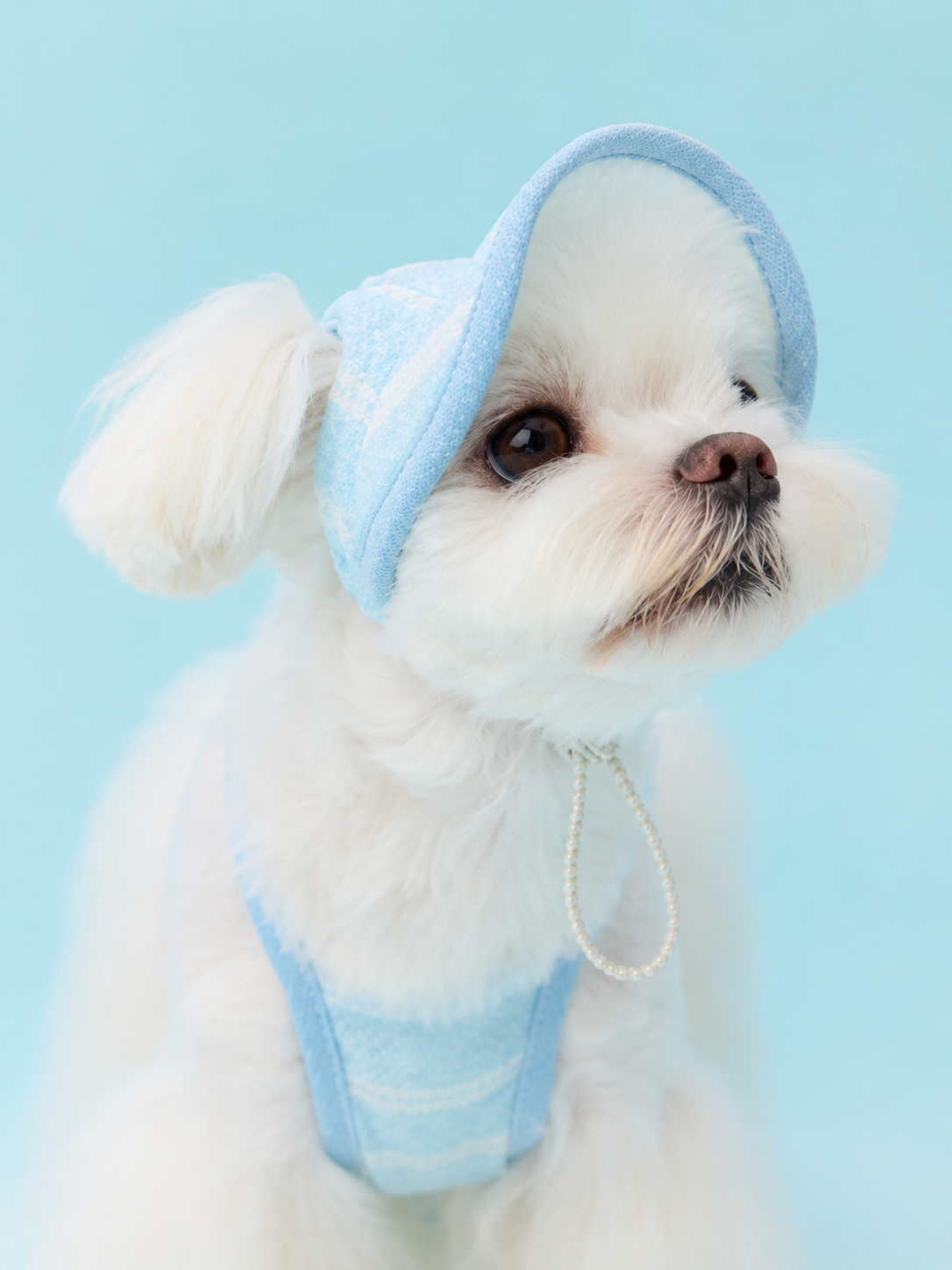Stripe Trim Cooling Sun Hat for Dogs