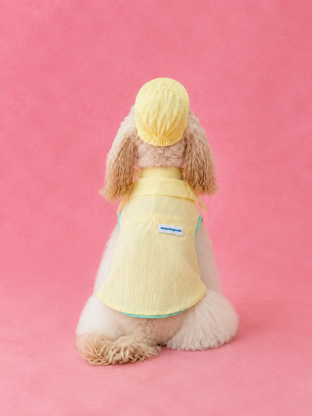 Lightweight Linen Style Shirt for Dogs