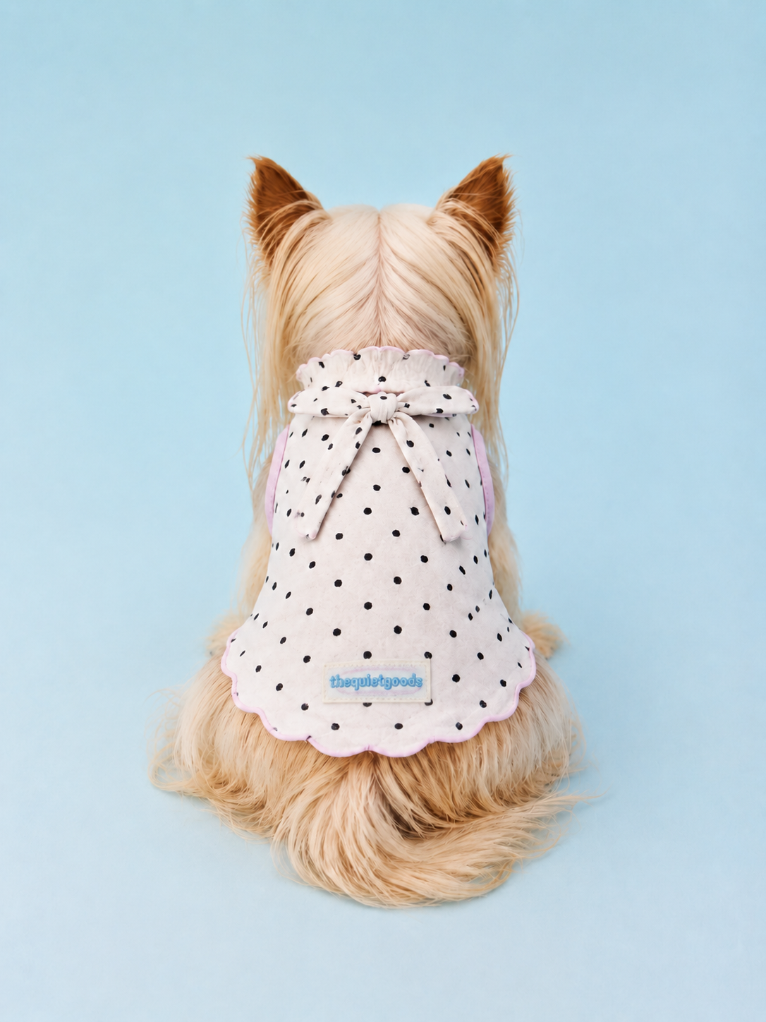 Tied Polka Dot Summer Vest for Small Dogs