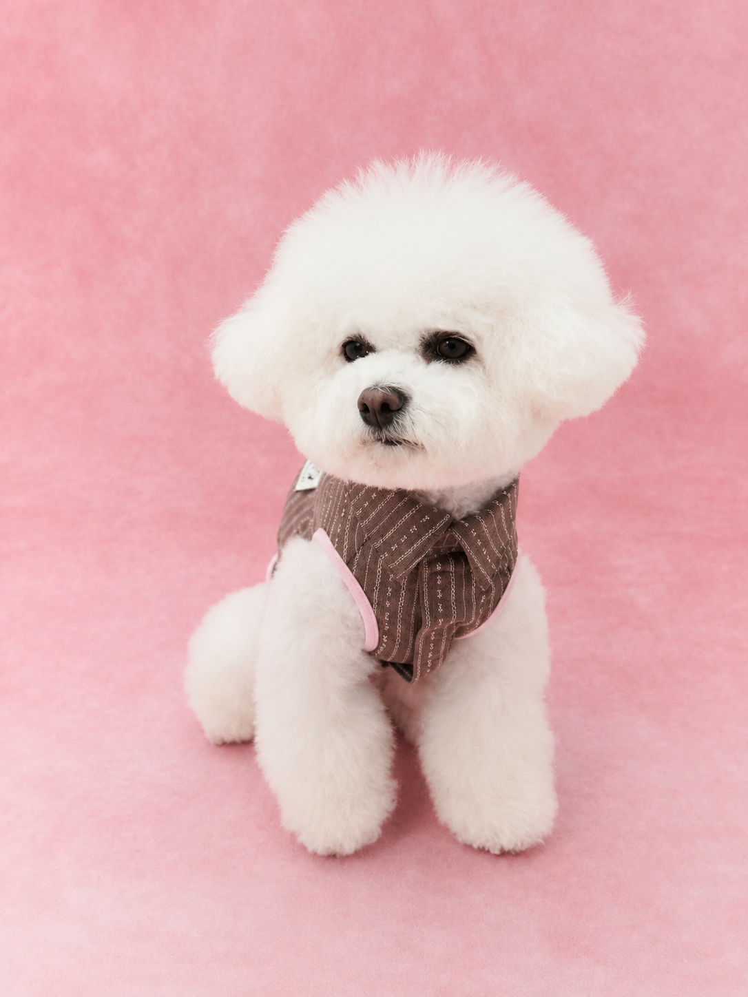 Lightweight Linen Style Shirt for Dogs