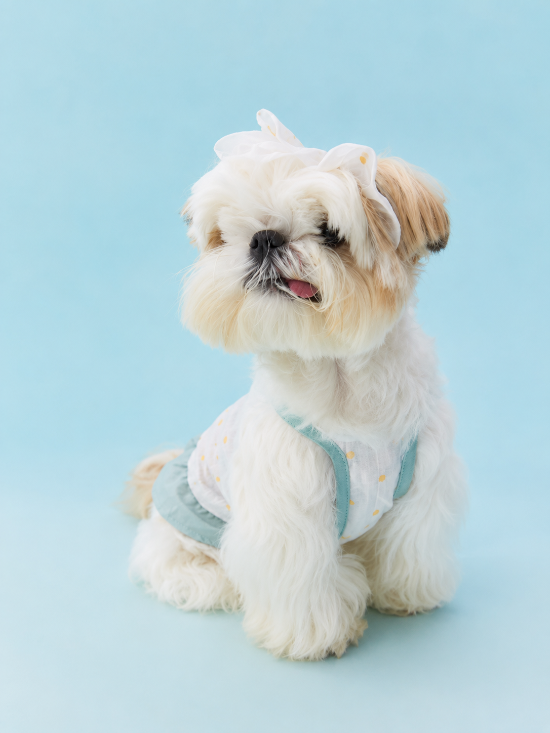 Polka Dot Breeze Dress Set for Small Dogs