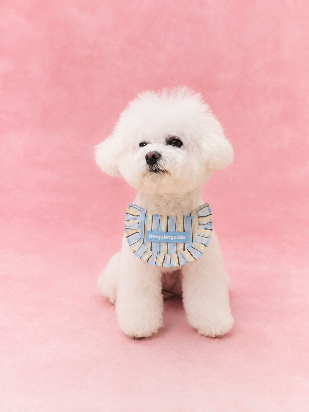 Classic Stripe Triangle Bib Scarf for Pets
