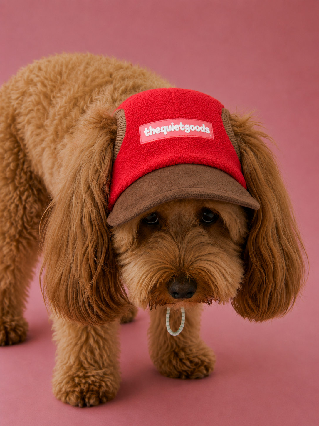 Double-Sided Fleece Warm Hat for Dogs