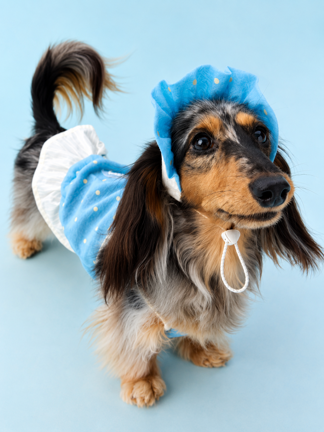 Polka Dot Breeze Dress Set for Small Dogs